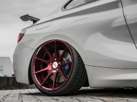 Z-Performance BMW 235i (2018)