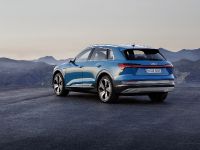 Audi e-tron Launch Edition (2019) - picture 2 of 3