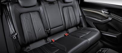 Audi e-tron (2019) - picture 7 of 9