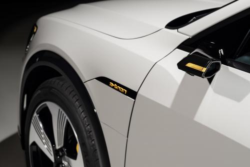 Audi e-tron (2019) - picture 9 of 9