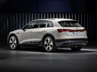 Audi e-tron (2019) - picture 2 of 9