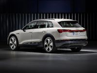 Audi e-tron (2019)