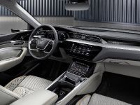 Audi e-tron (2019) - picture 3 of 9
