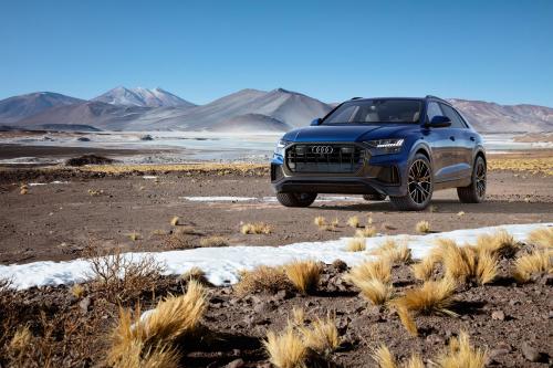 Audi Q8 SUV (2019) - picture 1 of 4