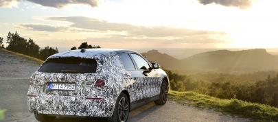 BMW 1 Series (2019) - picture 12 of 14