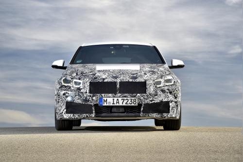 BMW 1 Series (2019) - picture 1 of 14