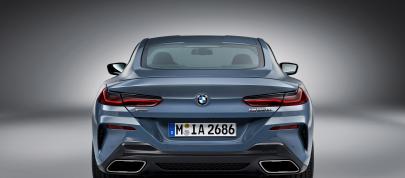 BMW 850i xDrive Coupe (2019) - picture 4 of 8