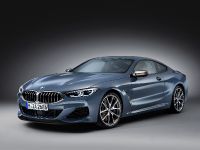 BMW 850i xDrive Coupe (2019) - picture 2 of 8