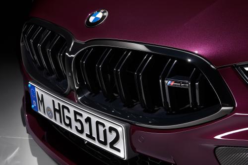 BMW M8 Competition Gran Coupe (2019) - picture 9 of 16