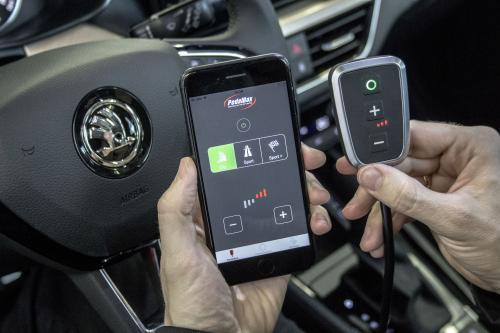 DTE Systems Skoda Scala (2019) - picture 8 of 8