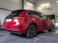 DTE Systems Skoda Scala (2019) - picture 3 of 8