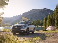 Honda Passport SUV (2019) - picture 5 of 18