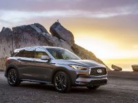 Infiniti QX Crossover (2019) - picture 3 of 5