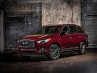 INFINITI QX60 LIMITED (2019) - picture 1 of 13