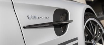 Mercedes-AMG GT R PRO (2019) - picture 4 of 11