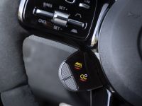 Mercedes-AMG GT R PRO (2019) - picture 10 of 11