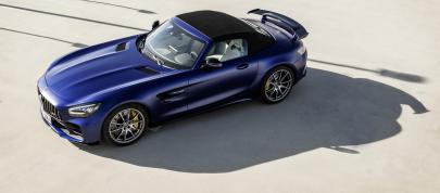 Mercedes-AMG GT-R Roadster (2019) - picture 4 of 18