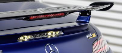Mercedes-AMG GT-R Roadster (2019) - picture 12 of 18