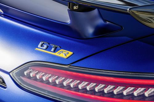 Mercedes-AMG GT-R Roadster (2019) - picture 16 of 18