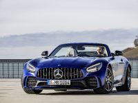 Mercedes-AMG GT-R Roadster (2019) - picture 1 of 18