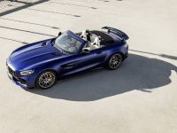 Mercedes-AMG GT-R Roadster (2019) - picture 5 of 18