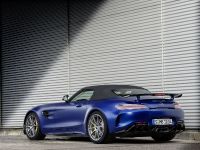 Mercedes-AMG GT-R Roadster (2019) - picture 6 of 18