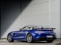 Mercedes-AMG GT-R Roadster (2019) - picture 7 of 18