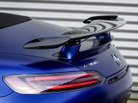 Mercedes-AMG GT-R Roadster (2019) - picture 11 of 18