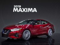 Nissan Maxima (2019) - picture 1 of 7