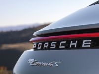 Porsche 911 Carrera S (2019) - picture 10 of 12