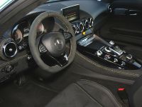 POSAIDON Mercedes-AMG GT R (2019) - picture 11 of 13