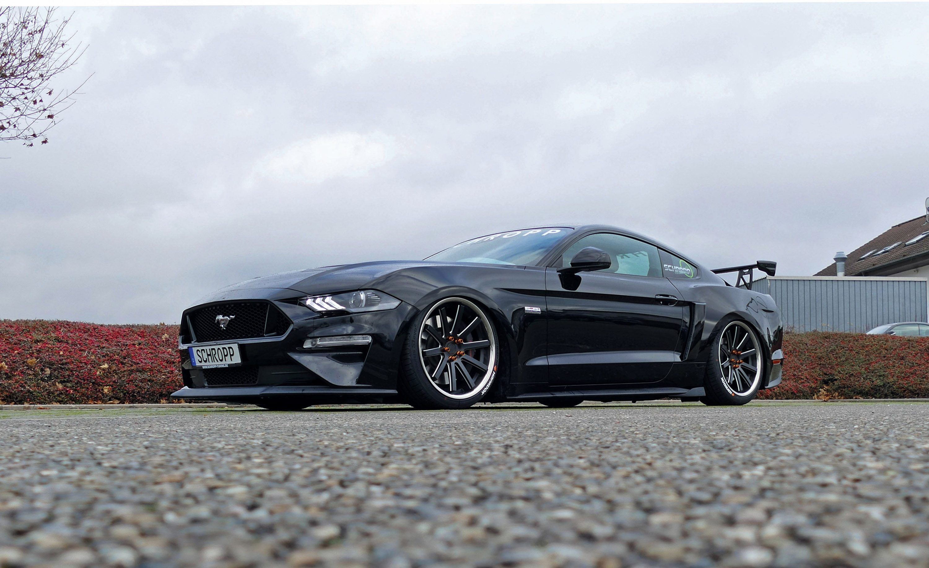 Schropp Ford Mustang