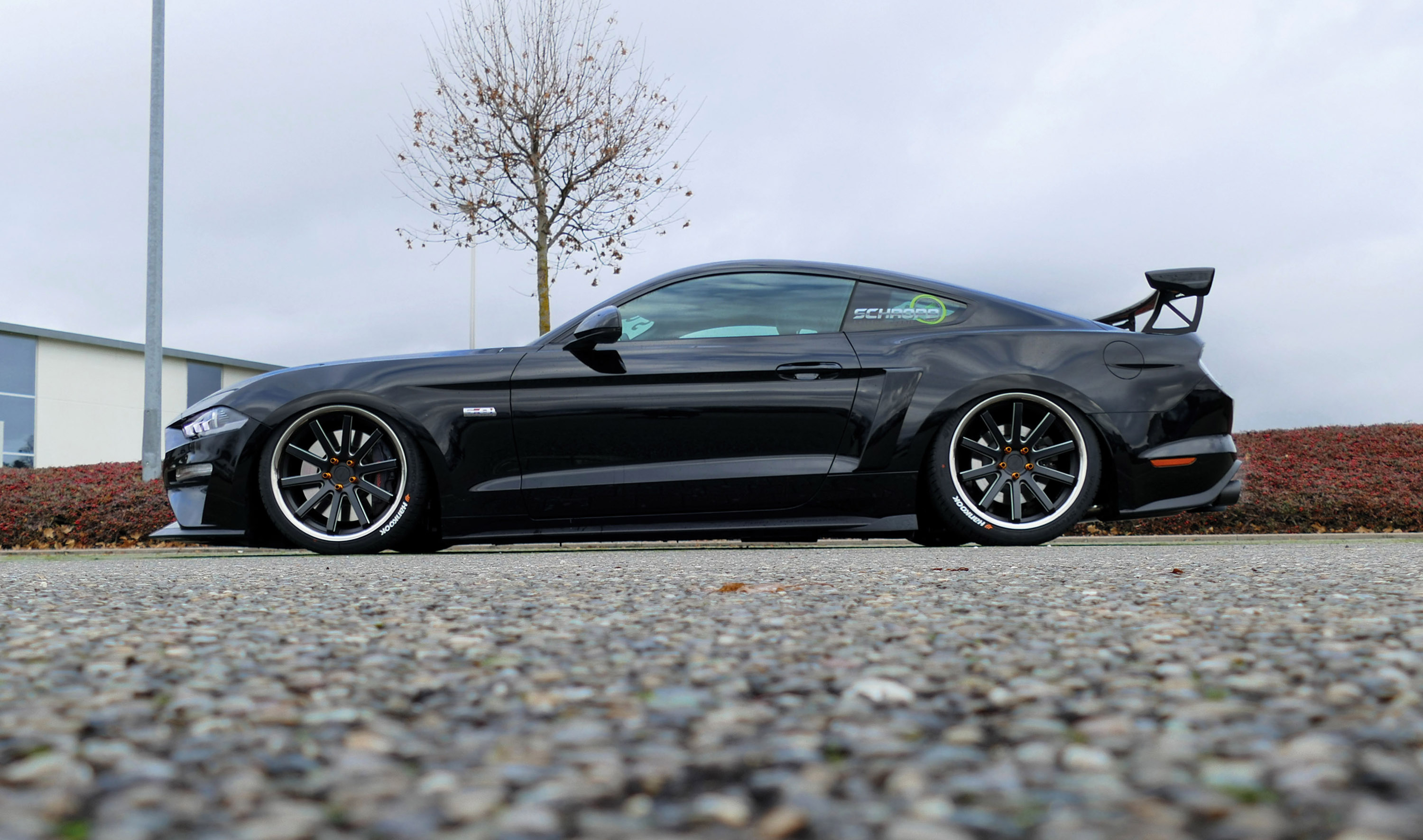 Schropp Ford Mustang