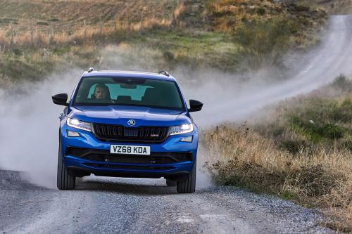 2019 SKODA Kodiaq vRS (2018) - picture 1 of 4