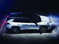 Toyota RAV4 Hybrid (2019) - picture 3 of 8