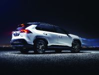 Toyota RAV4 Hybrid (2019) - picture 5 of 8