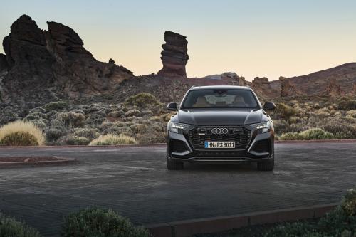 Audi RS Q8 (2020) - picture 1 of 4