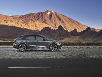 Audi RS Q8 (2020) - picture 3 of 4