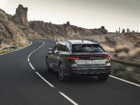 Audi RS Q8 (2020) - picture 4 of 4