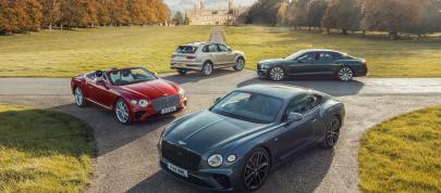 Bentley All (2020) - picture 4 of 10