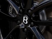 Bentley Continental GT Convertible Equestrian Edition (2020) - picture 2 of 2