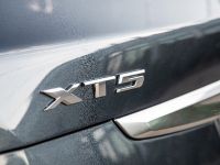 Cadillac XT5 Premium Luxury (2020) - picture 5 of 10