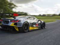 Chevrolet Corvette C8.R (2020) - picture 6 of 8