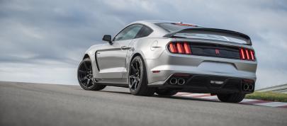 Ford Mustang Shelby GT350R (2020) - picture 4 of 8