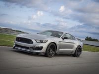 Ford Mustang Shelby GT350R (2020) - picture 3 of 8