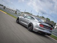 Ford Mustang Shelby GT350R (2020) - picture 5 of 8