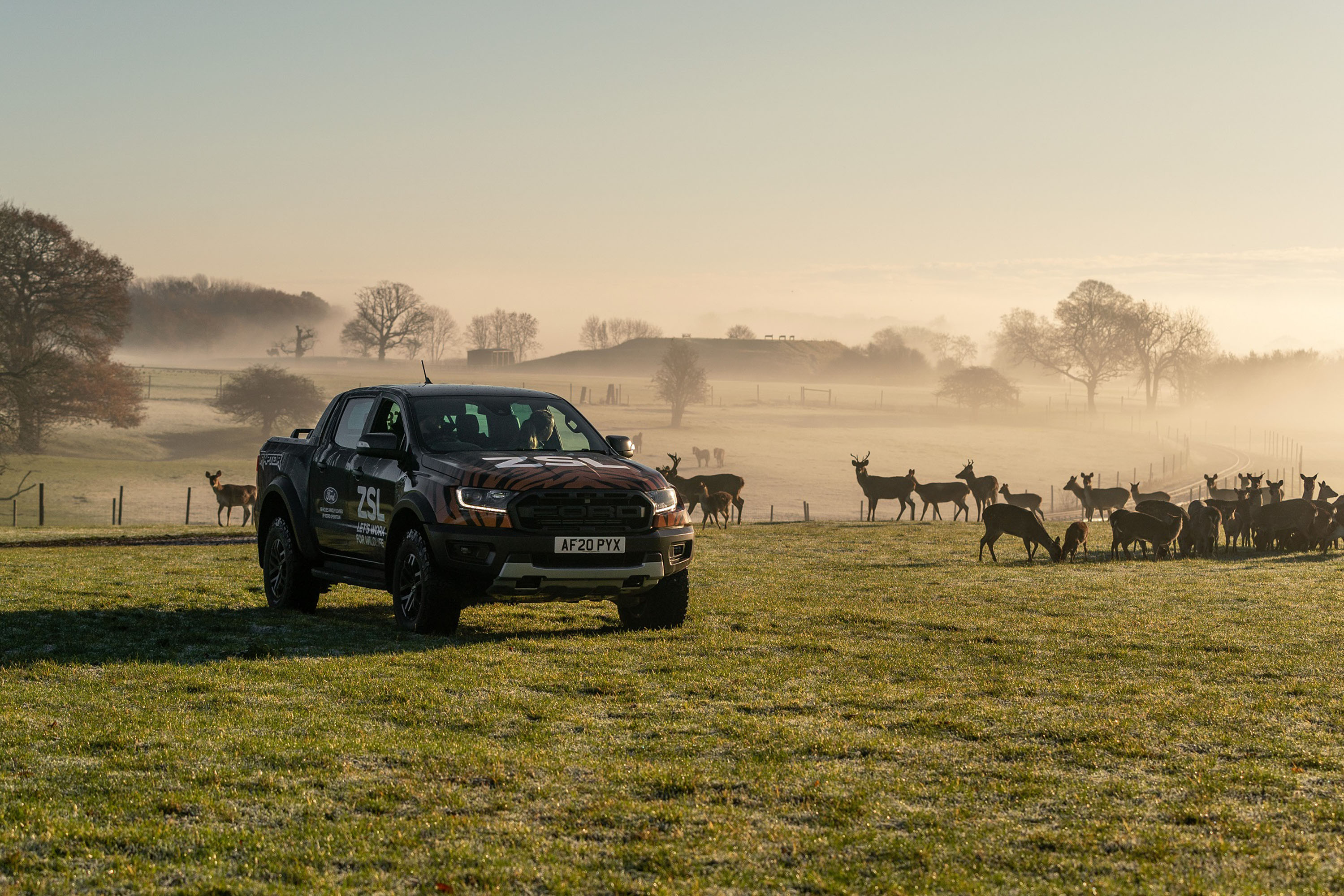 Ford Ranger Raptors