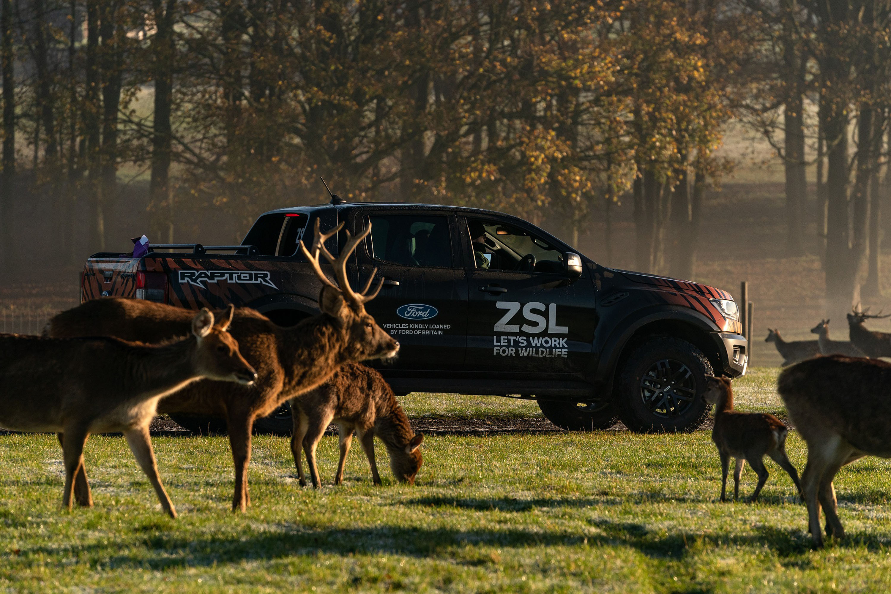 Ford Ranger Raptors