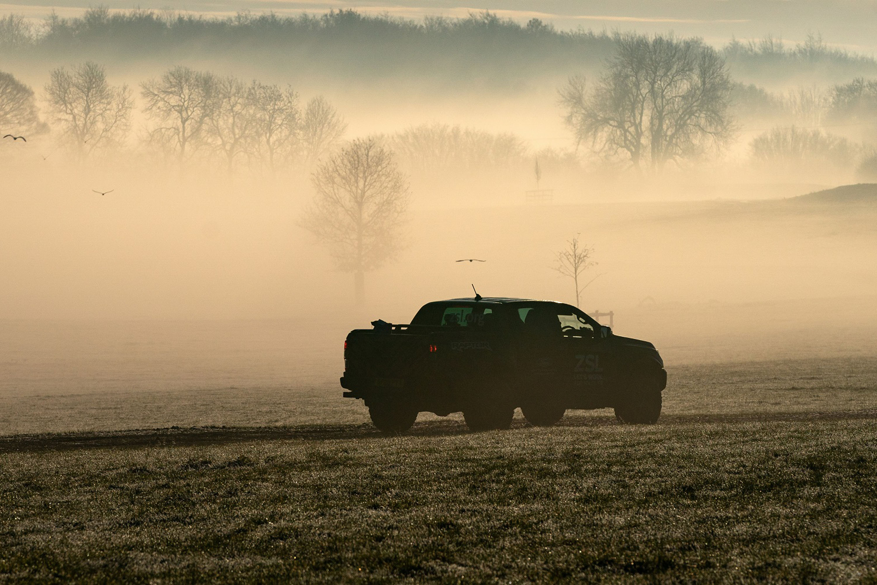 Ford Ranger Raptors