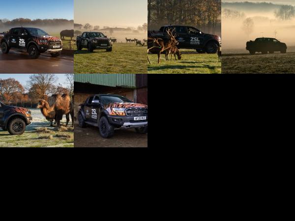 Ford Ranger Raptors (2020) - picture 1 of 6